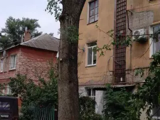 По обращению жителей Центрально-Городского района  было проведено омоложение деревьев
