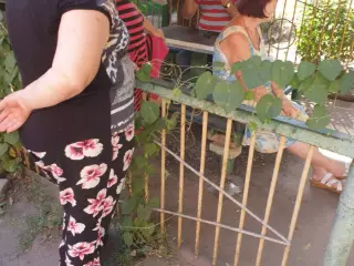 Пил стовпом