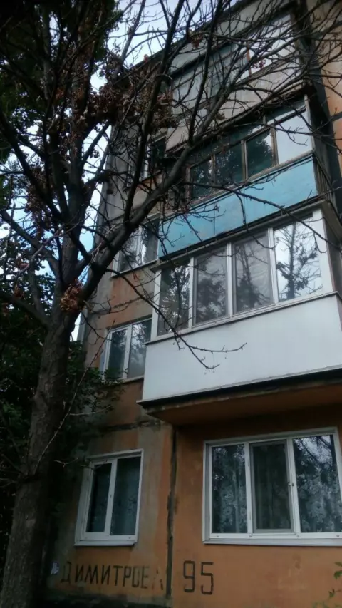 Вітер більше не страшний. Мешканці допомогли з проблемою аварійного дерева