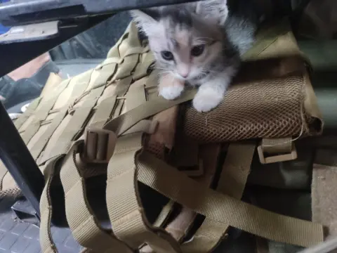 WhatsApp Image 2026-02-17 at 09.5іуп6.41.jpeg