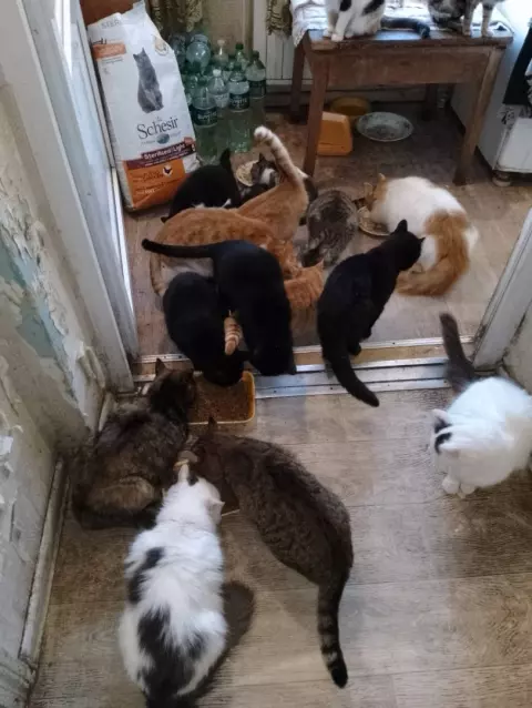 изображение_viber_2022-12-17_18-16-49-245.jpg
