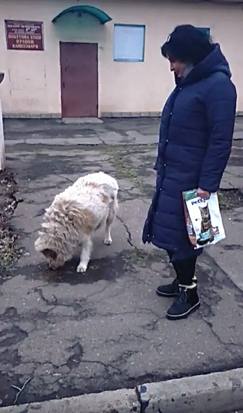 WhatsApp Image 2026-02-17якнрн at 09.56.47.jpeg